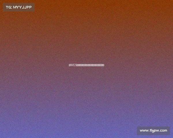 《WES巅峰对决：战火重燃，热血竞逐全新篇章》